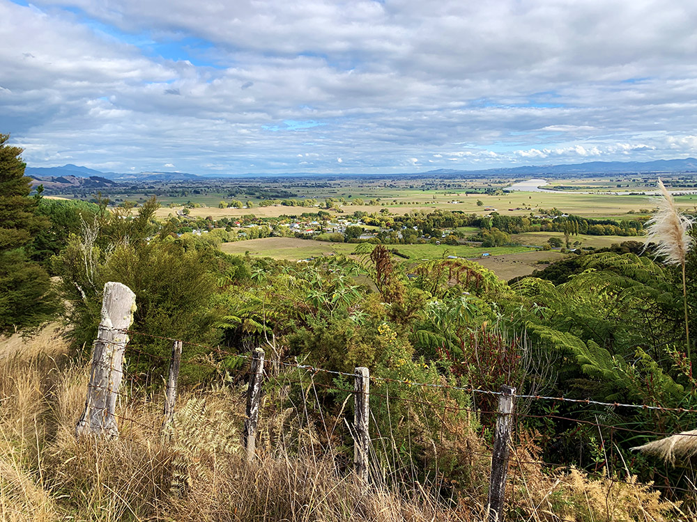 You are currently viewing Hauraki develops biodiversity strategy