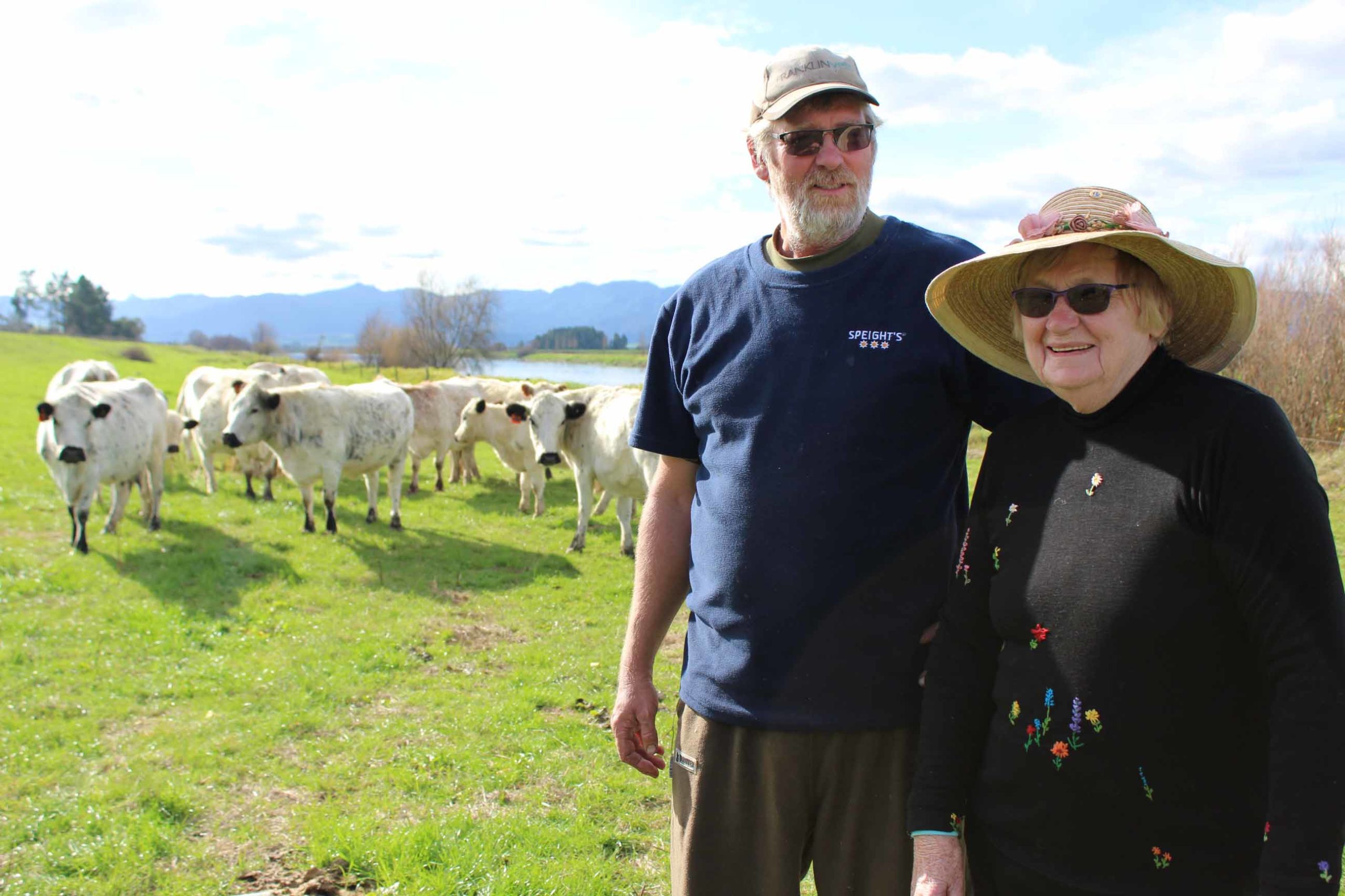 You are currently viewing Rare cattle a labour of love for Netherton family