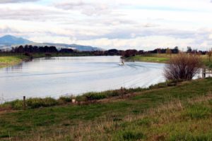 Read more about the article Health warning issued for all Waikato lakes, rivers
