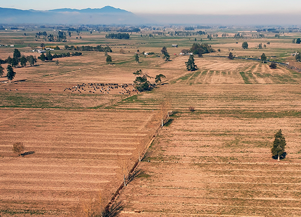 Read more about the article Aerial photos reveal severe drought conditions