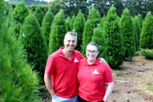 Read more about the article Sights and smells of a Kiwi Christmas at Courtneys’ Christmas Tree Farm