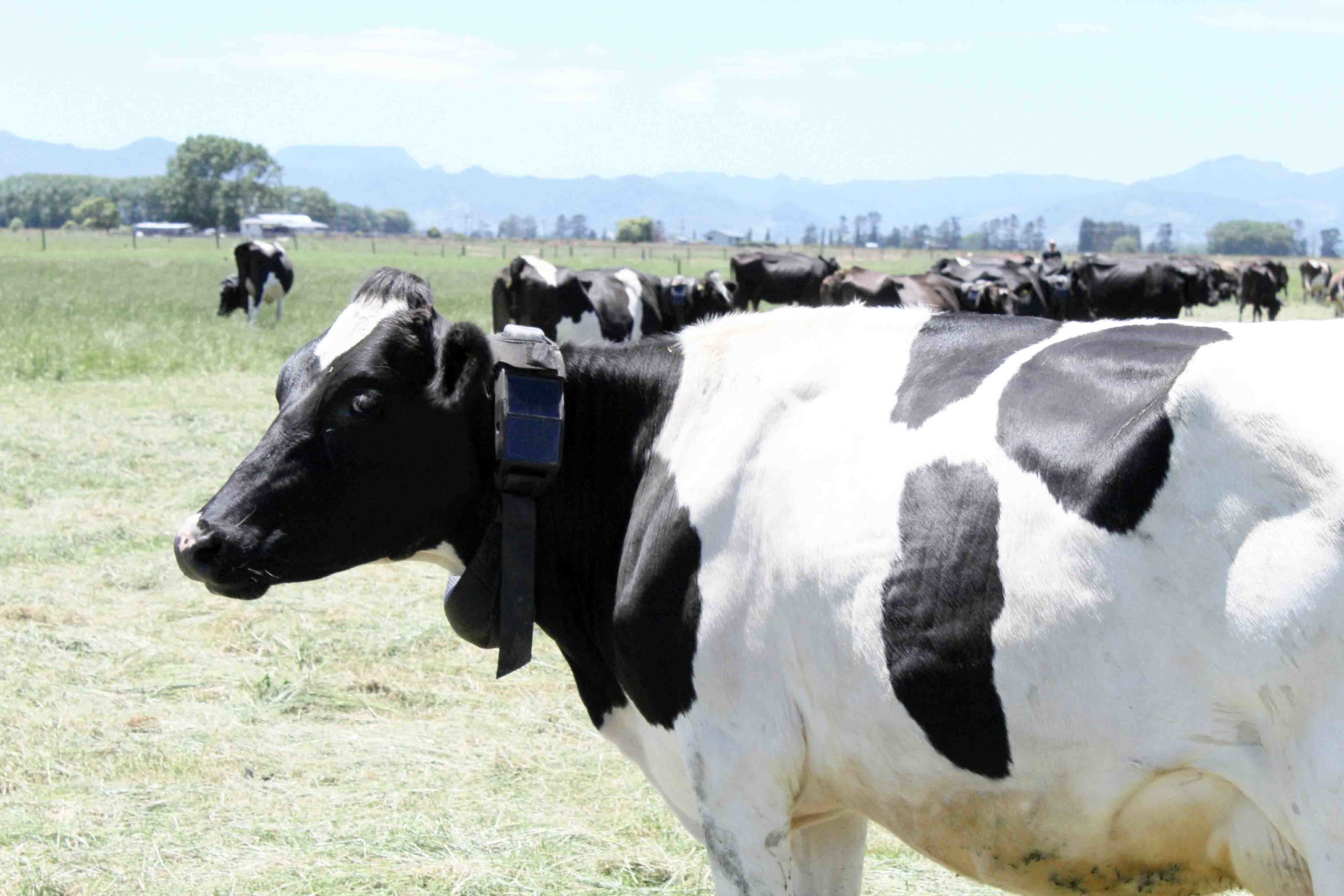 You are currently viewing ‘Future proof’ tech tested out on Thames Valley farm