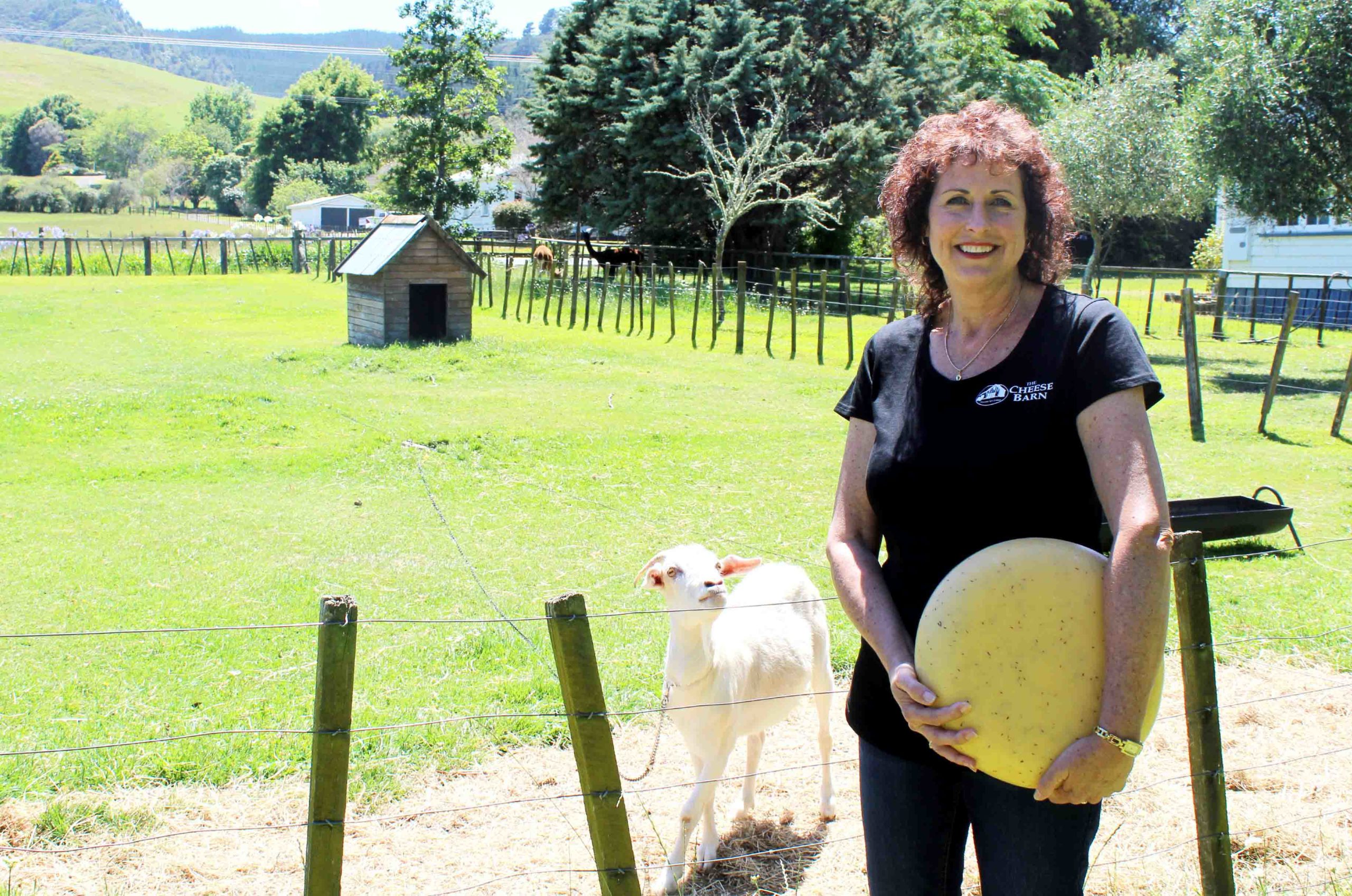 You are currently viewing Rural cheese barn leaves impression at food show