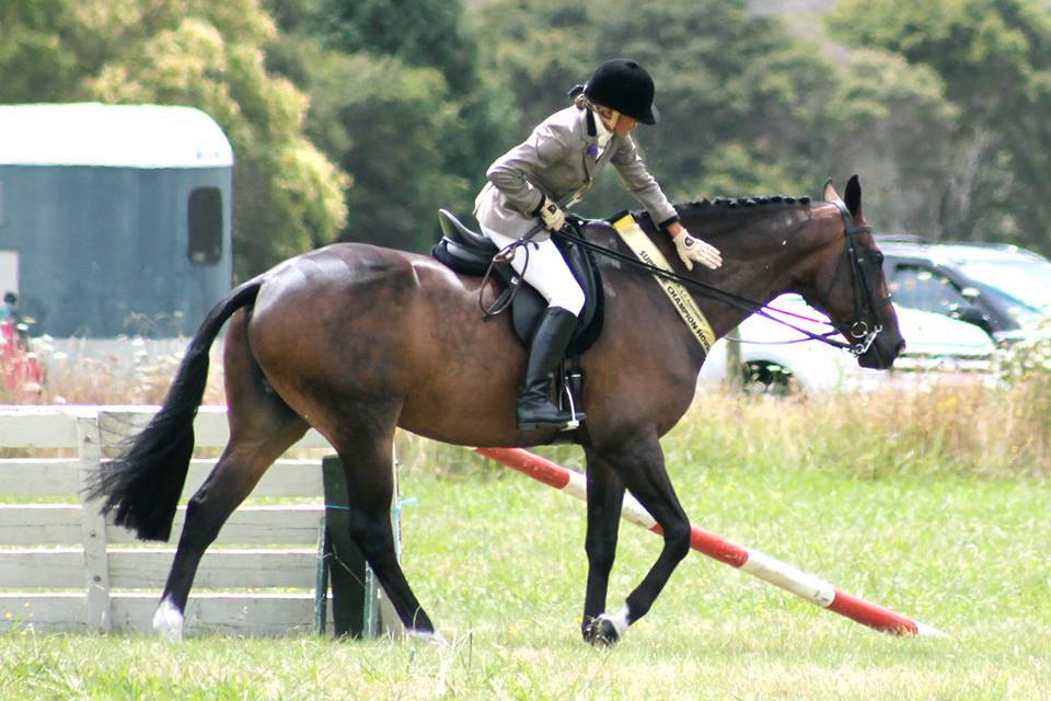 You are currently viewing Paeroa & Plains Show set to kick off at Kerepēhi Domain