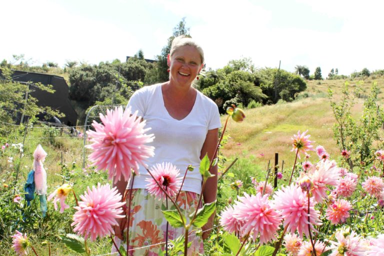 Read more about the article Waikino flower farm a hidden gem for affordable flowers