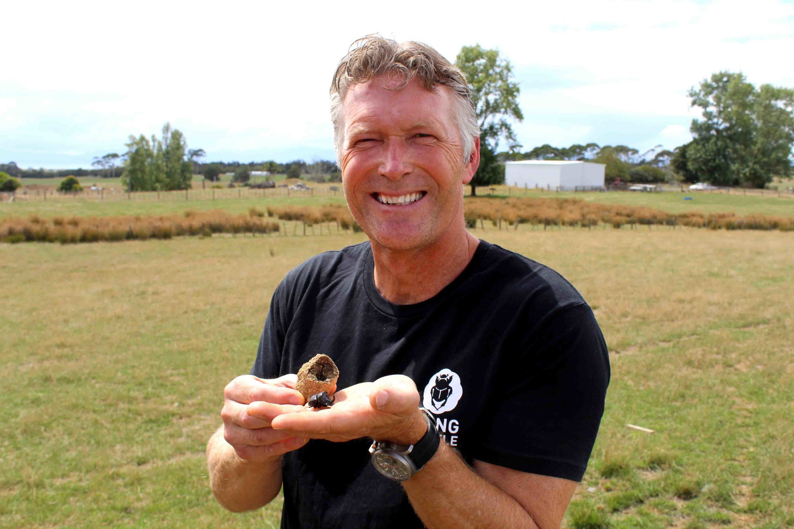 You are currently viewing Dung beetles a much-needed ‘clean up crew’ on farm