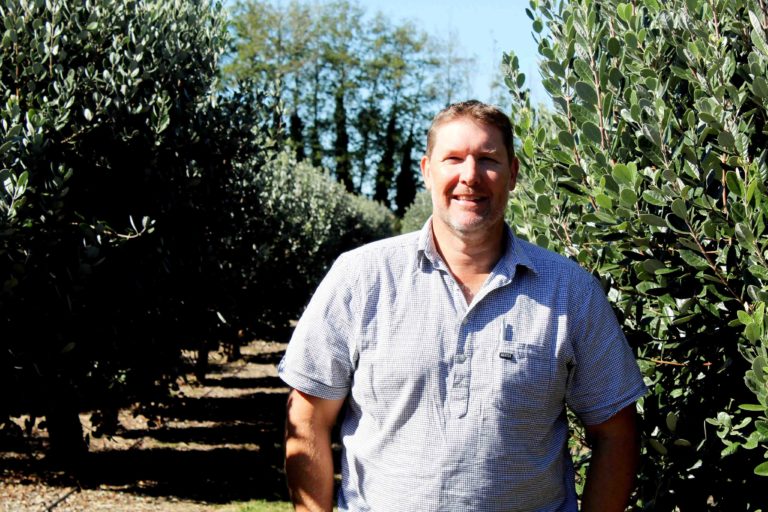 Read more about the article Feijoas the fruit of orchardist’s labour