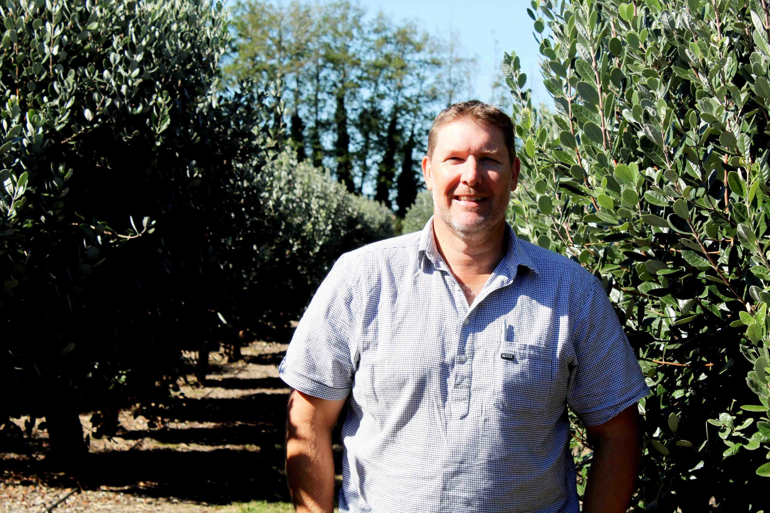 You are currently viewing Feijoas the fruit of orchardist’s labour