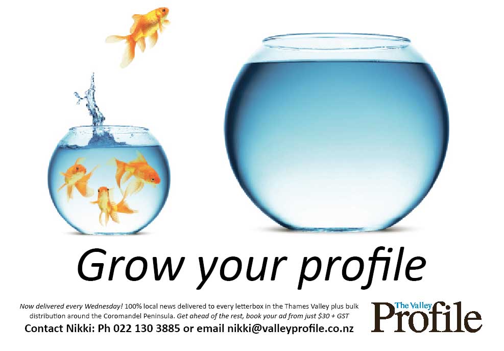 You are currently viewing Valley Profile celebrates 1st birthday by publishing weekly