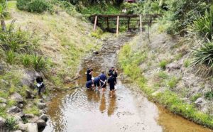 Read more about the article Environment DNA tests planned for region’s streams