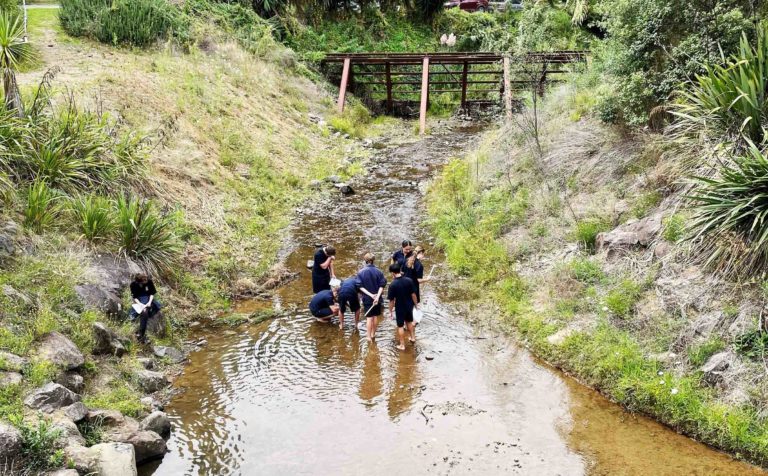 Read more about the article Environment DNA tests planned for region’s streams