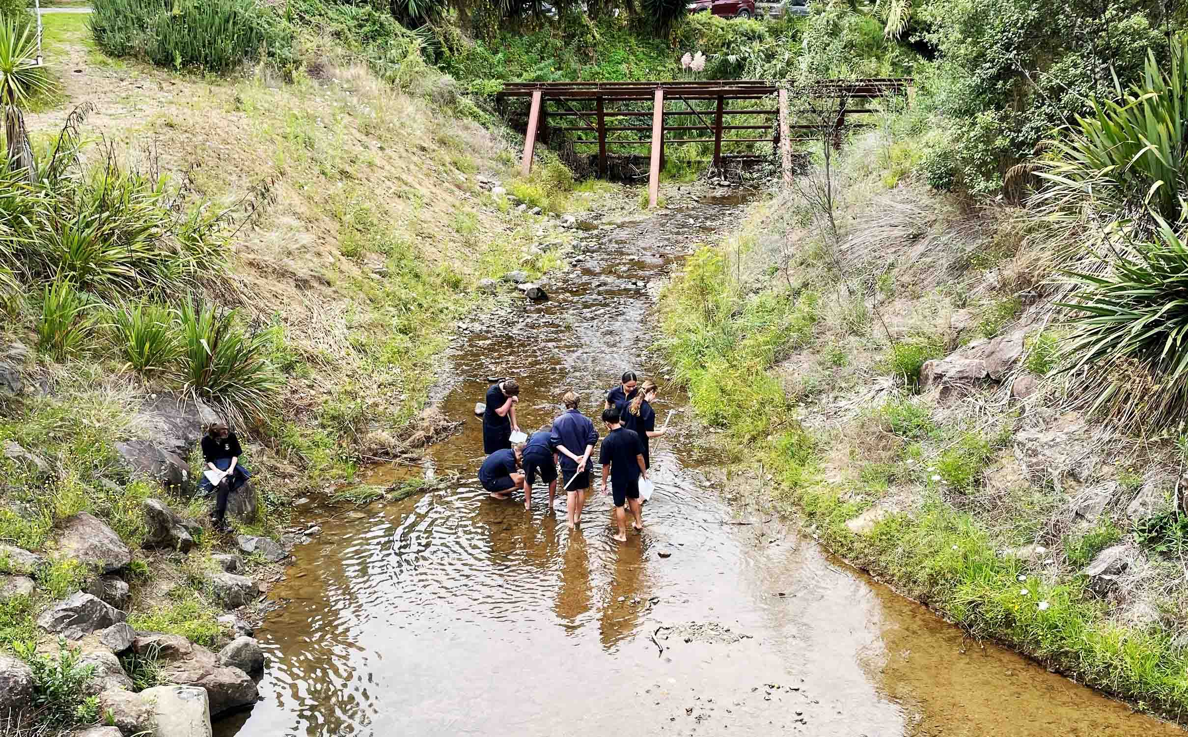 You are currently viewing Environment DNA tests planned for region’s streams