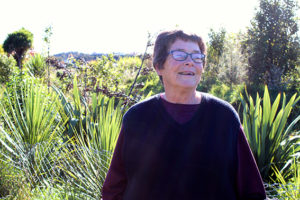 Read more about the article Planting days planned for Paeroa Streamcare