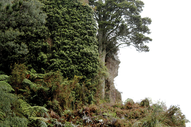 You are currently viewing Queen’s Head a sight to behold once more