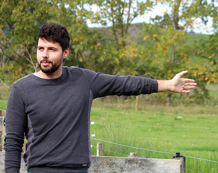 Read more about the article Planting ‘for the long term’ on Puriri farm