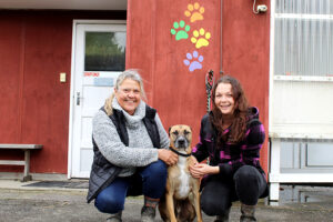 Read more about the article Pets in good hands with new owners at Playful Paws