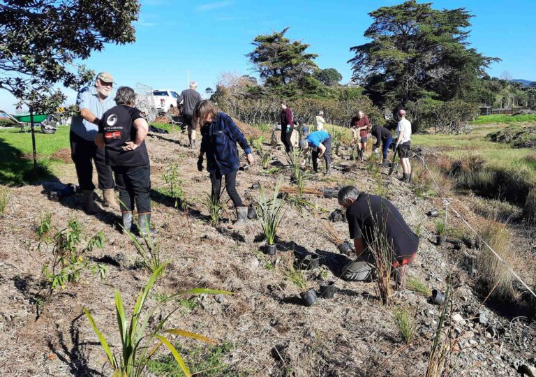 Read more about the article Hauarahi Stream given a helping hand