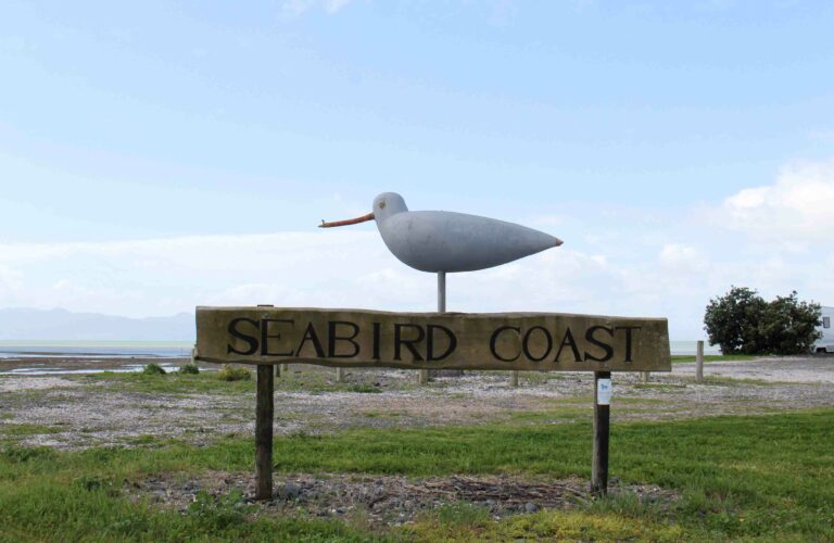 Read more about the article Council adopts plan for Seabird Coast