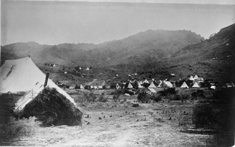 Read more about the article Mineral water found in Puriri