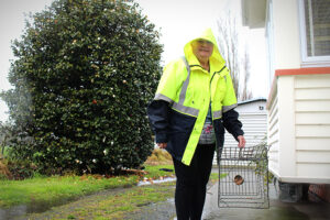 Read more about the article COLONY OF CATS RESCUED