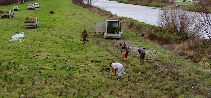 Read more about the article Wetland clarity needed – WRC