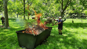 Read more about the article Biochar inspires up Kauaeranga Valley