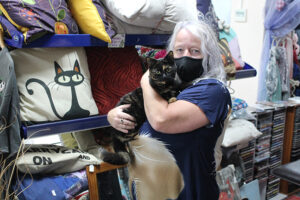 Read more about the article Looking after Waihī’s town cats