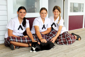Read more about the article Purr-fect new home for Max the cat