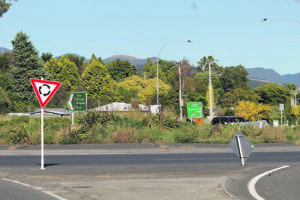 Read more about the article Roundabout clean-up planned