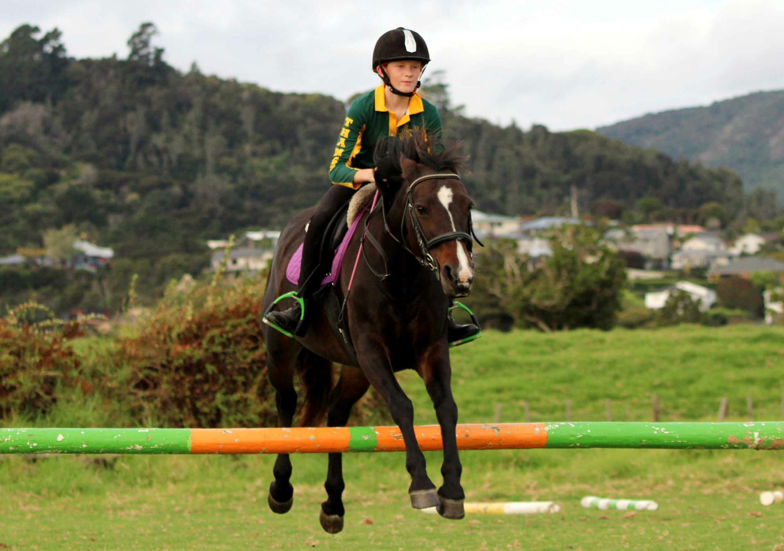 You are currently viewing High standard of horsemanship at Thames Pony Club