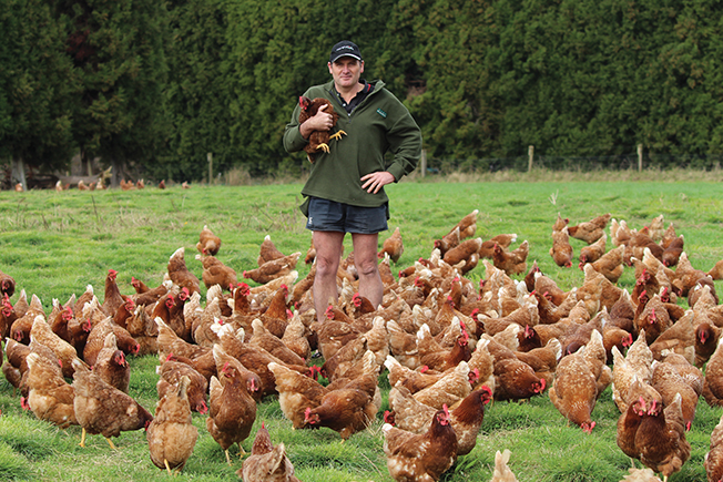 Read more about the article Egg-citing journey awaits new farm owners