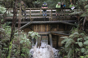 Read more about the article Kauaeranga dam restoration complete