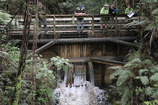 You are currently viewing Kauaeranga dam restoration complete