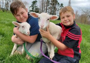 Read more about the article Rearing to go with donated lambs