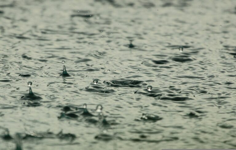 Read more about the article Heavy rain warning for Coromandel