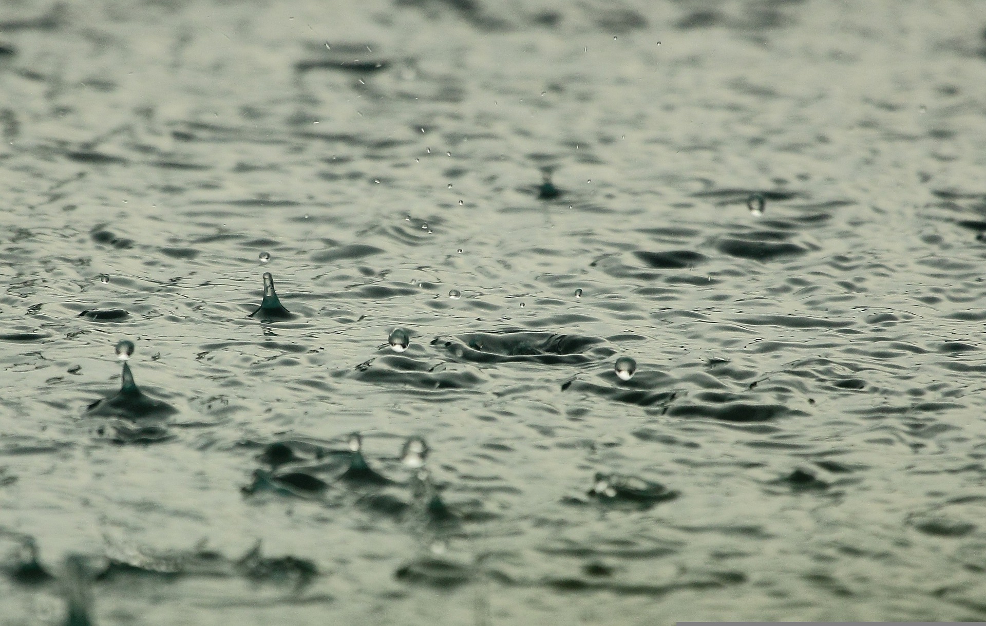 You are currently viewing Record rainfall for Paeroa, Whitianga