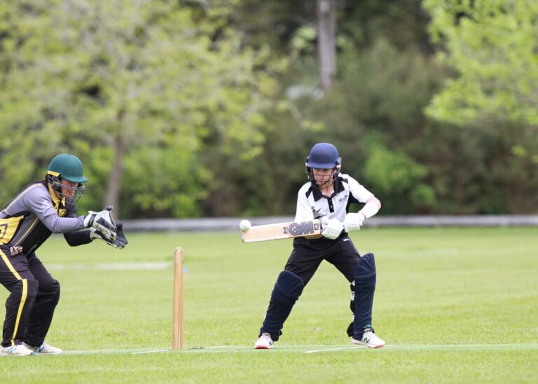 Read more about the article Hauraki cricketers dominate higher-ranked opponents