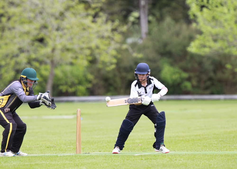 You are currently viewing Hauraki cricketers dominate higher-ranked opponents