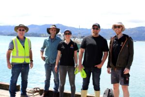 Read more about the article ‘Historic’ day for NZ’s seaweed industry