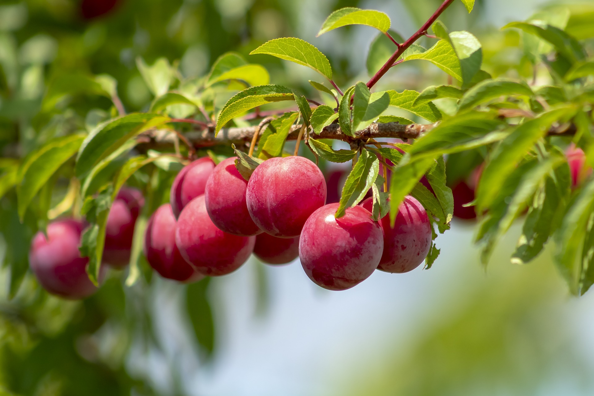 You are currently viewing Nourish your garden