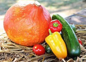 Read more about the article Ready, set plant! November is prime time for summer veges