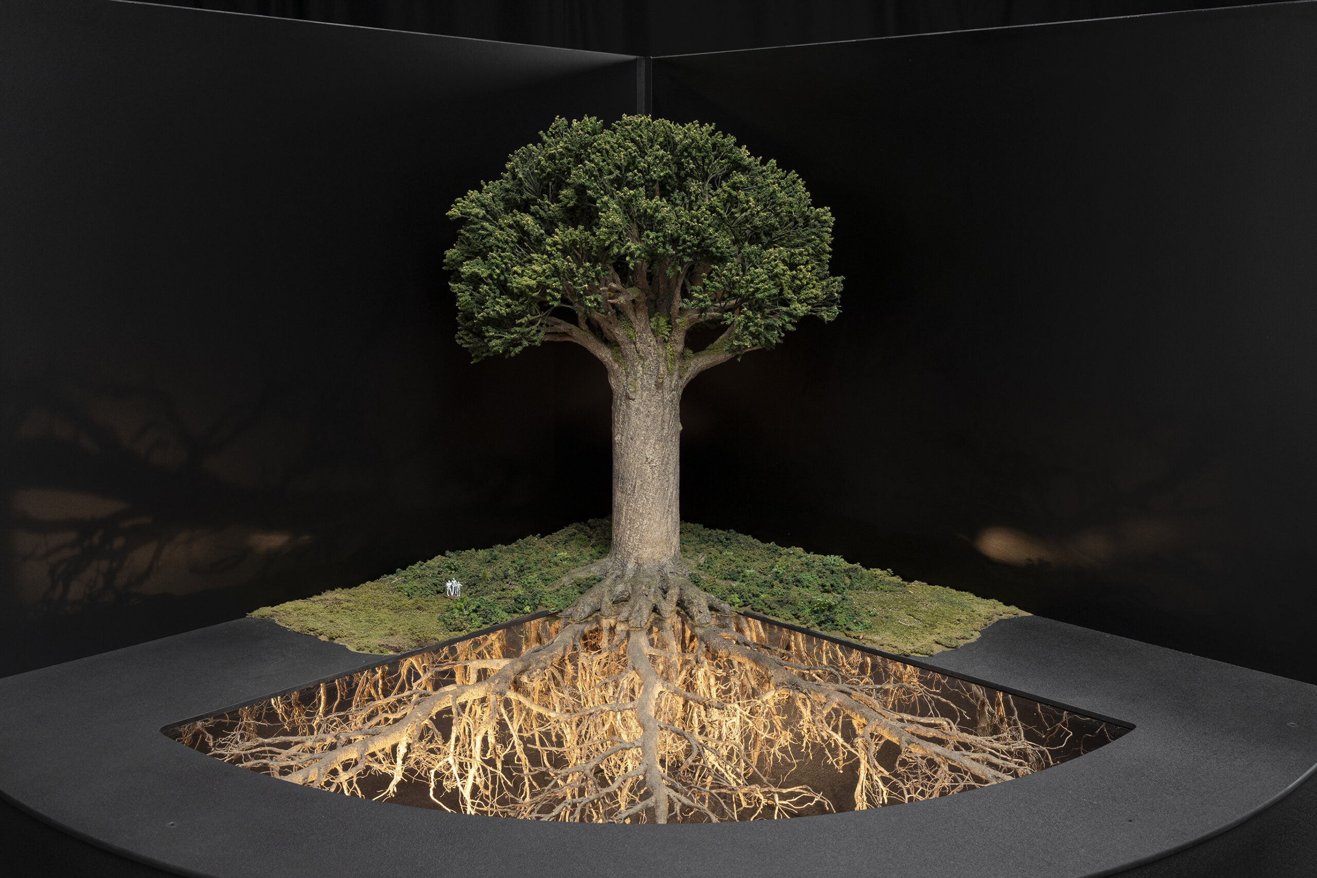You are currently viewing Wētā Workshop develops Coromandel kauri model