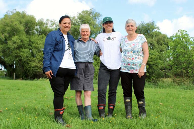 Read more about the article Team creates community garden in Paeroa