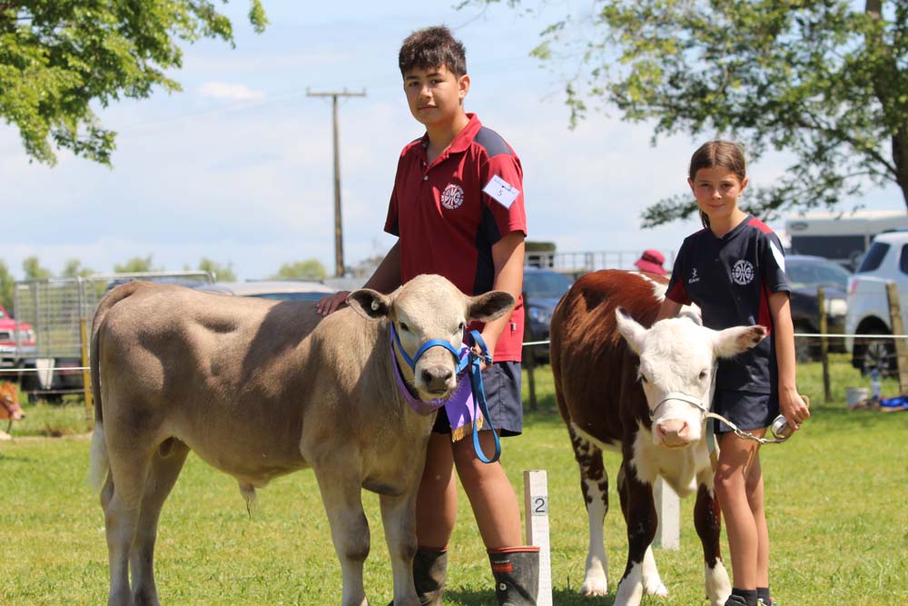 You are currently viewing Bulls for schools: Hikutaia’s funding bid for new van 