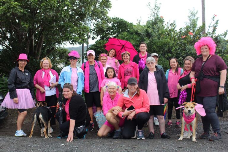 Read more about the article Walkers pretty in pink