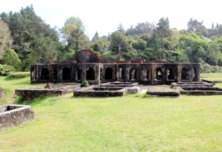 Read more about the article Volunteers needed at Waikino Battery