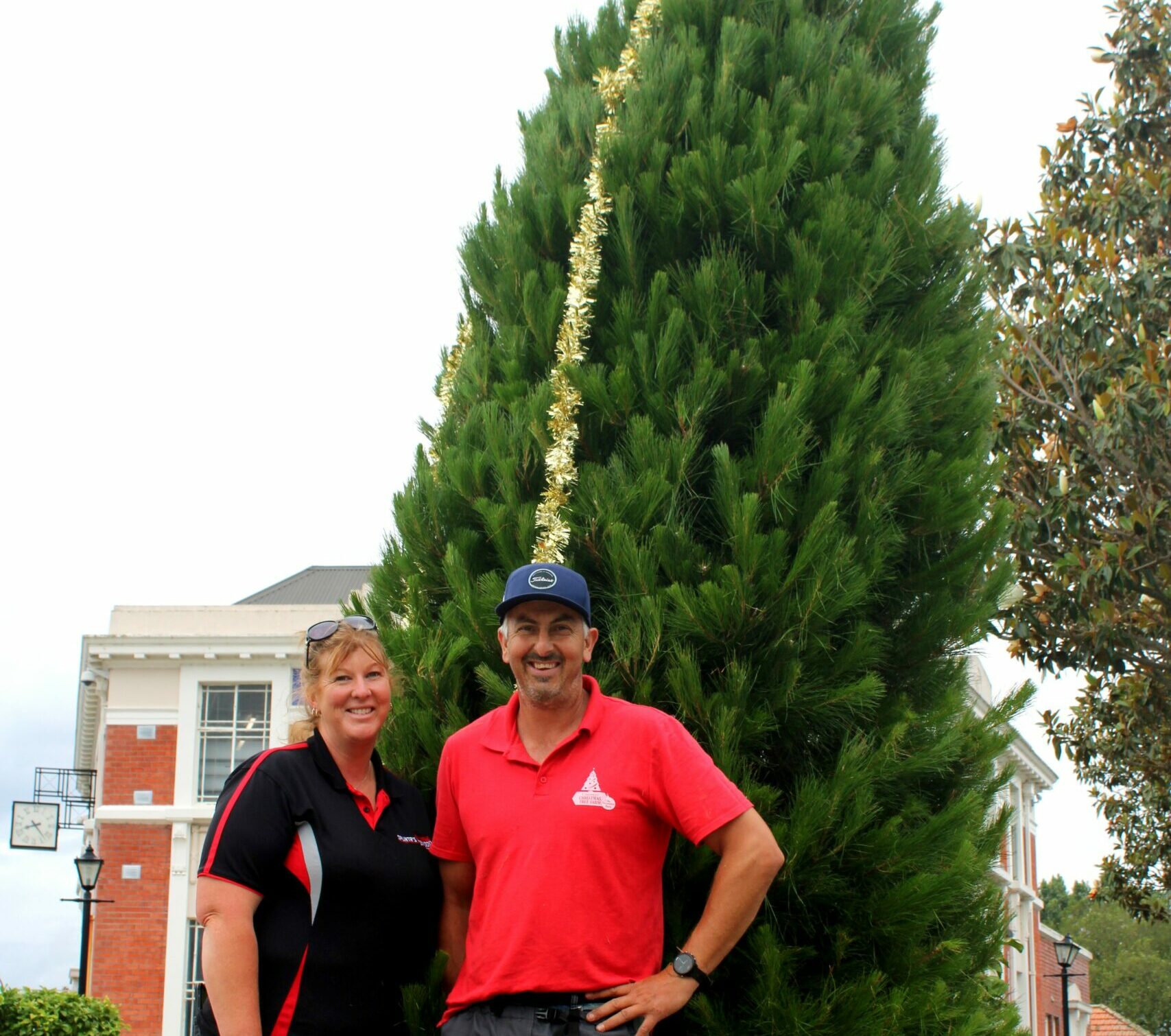 You are currently viewing Christmas tree goes up in Paeroa