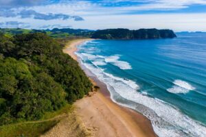 Read more about the article Rip warnings for Coromandel 