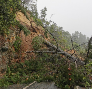 Read more about the article Thames Coast Rd remains closed due to large slip