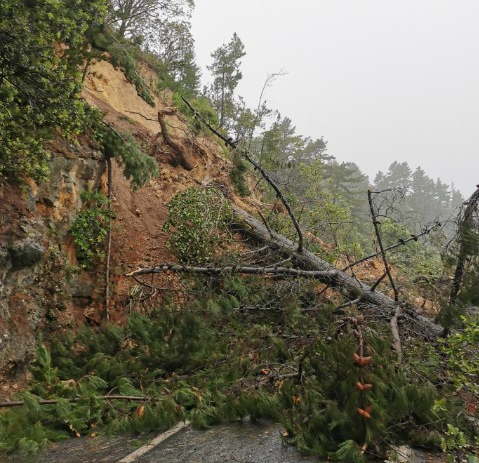 You are currently viewing Thames Coast Rd remains closed due to large slip